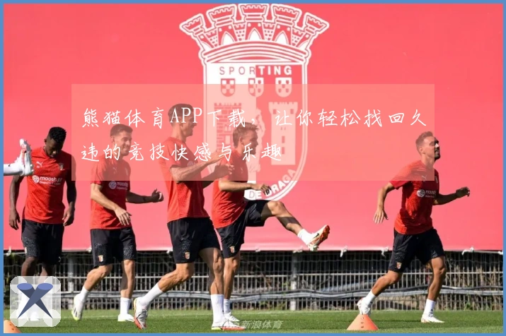 熊猫体育APP下载，让你轻松找回久违的竞技快感与乐趣